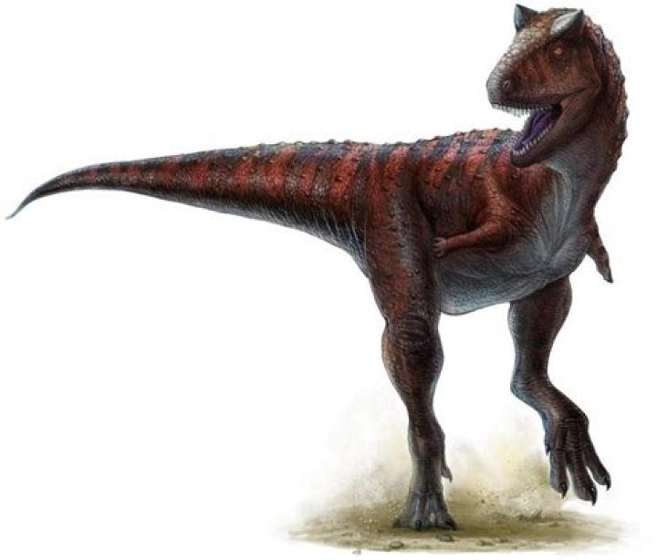 31 Dinosaur Facts And Images That Will Blow Your Mind