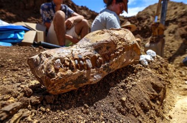 Archeologists Just Discovered The Remnants Of Germany's Oldest Public Library