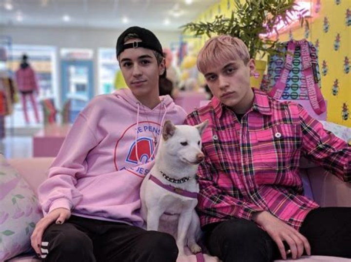 Joewoahy Bio | Age, Wiki, Net worth, Height, Boyfriend, Sexuality|