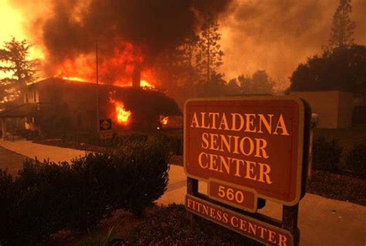 The 'Haunted Forest' Of Altadena, California