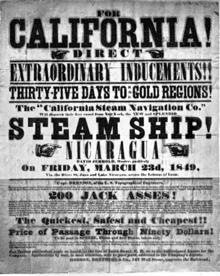 The Mining Craze That Gripped America